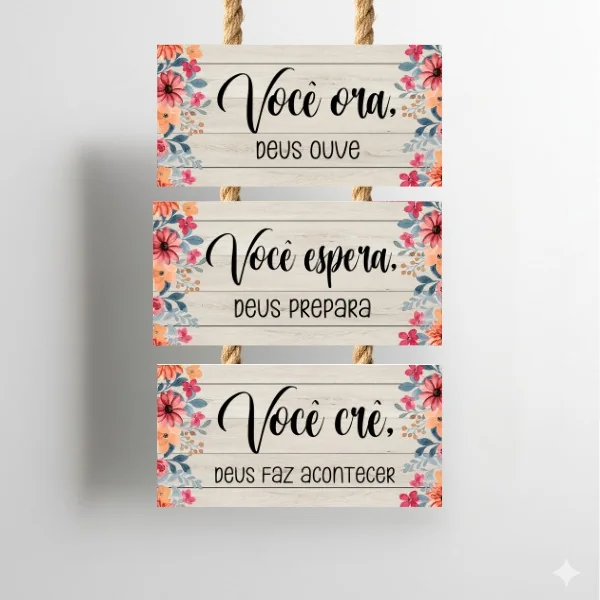 Placas